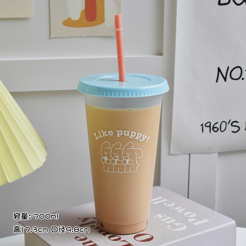 Plastic Water Bottle Cute Coff - Coffee Tea Equipment review and price